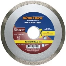 Диск алмазный несегментный "Эксперт-керамогранит" 125 х 20/22 мм, (1 шт.) ПРАКТИКА 034-298